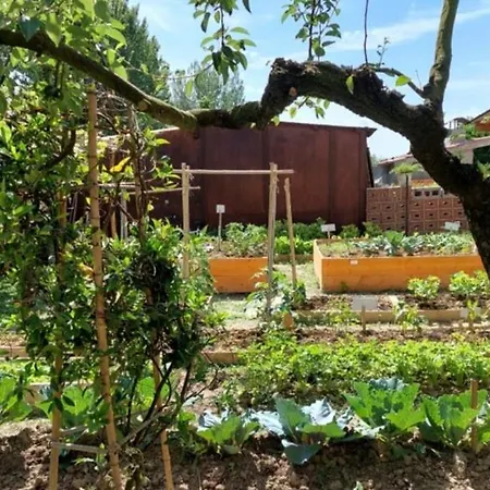 Bed & Breakfast Oasi San Giuliano Terme