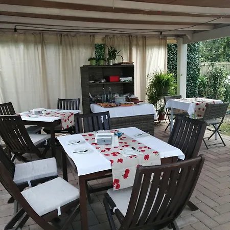 Oasi 3*